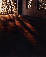 藏品(無名)的圖片