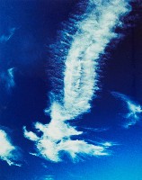 藏品(無名)的圖片