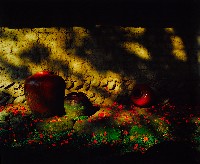 藏品(古厝系列)的圖片