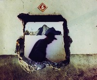 藏品(古厝系列)的圖片