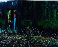 藏品(古厝系列)的圖片