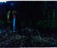 藏品(古厝系列)的圖片