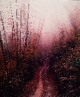 藏品(彩竹的故鄉系列)的圖片