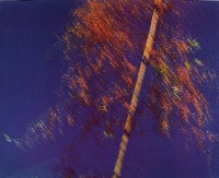 藏品(彩竹的故鄉系列)的圖片