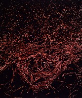 藏品(彩竹的故鄉系列)的圖片