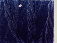 藏品(月世界)的圖片