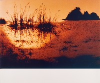 藏品(月世界)的圖片