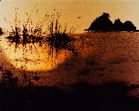 藏品(月世界)的圖片