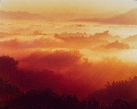 藏品(月世界)的圖片