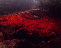 藏品(月世界)的圖片