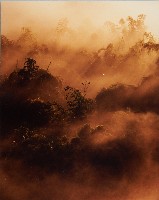 藏品(月世界)的圖片