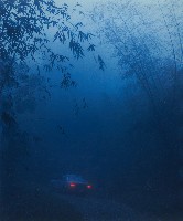 藏品(月世界)的圖片