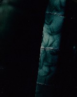 藏品(月世界)的圖片