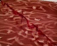 藏品(月世界)的圖片