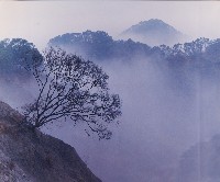 藏品(月世界)的圖片