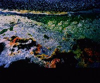 藏品(無名)的圖片