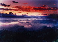 藏品(無名)的圖片