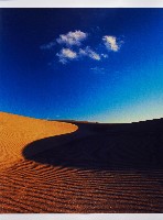 藏品(無名)的圖片