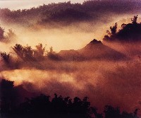 藏品(無名)的圖片