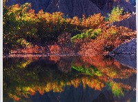 藏品(無名)的圖片