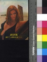 藏品(洛可兄弟--克勞黛卡汀娜)的圖片