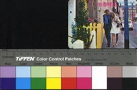 藏品(玉樓春曉)的圖片