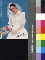 藏品(楊麗花)的圖片