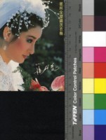 藏品(楊麗花)的圖片