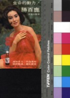 藏品(張美瑤)的圖片