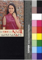 藏品(負心的人--湯蘭花)的圖片