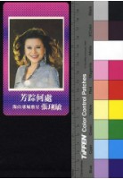 藏品(張琍敏)的圖片