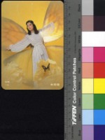 藏品(林青霞)的圖片