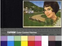 藏品(林黛)的圖片