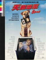 藏品(天翻地覆)的圖片