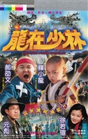 藏品(龍在少林)的圖片