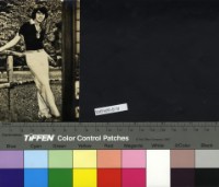 藏品(譚詠麟)的圖片