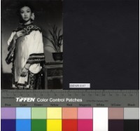 藏品(張盈真)的圖片