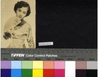 藏品(鷺紅)的圖片