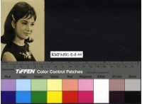 藏品(白蘭)的圖片