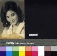 藏品(鄭佩佩)的圖片