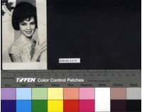 藏品(李鳳)的圖片