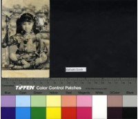 藏品(紀貞如)的圖片