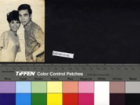 藏品(張琪)的圖片