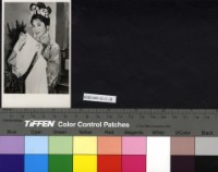 藏品(凌波)的圖片