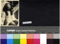 藏品(劇照)的圖片