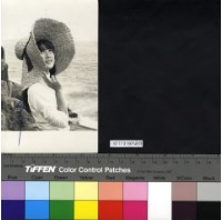 藏品(秦萍)的圖片