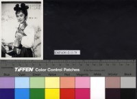 藏品(梁山伯與祝英台)的圖片