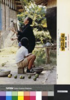 藏品(童年往事)的圖片