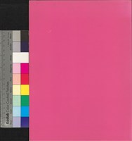 藏品(電影與認同)的圖片