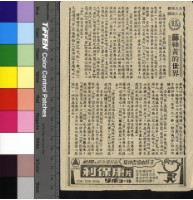 藏品(蘇絲黃的世界)的圖片